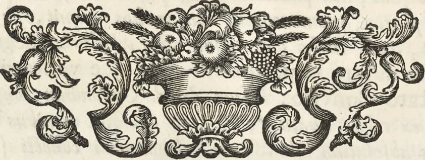 An illustration from I cesari in oro : raccolti nel Farnese museo, e pubblicati colle loro congrue interpretazioni, 1694, leaf 251