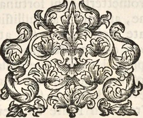 An illustration from I cesari in oro : raccolti nel Farnese museo, e pubblicati colle loro congrue interpretazioni, 1694, leaf 272