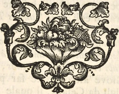 An illustration from I cesari in oro : raccolti nel Farnese museo, e pubblicati colle loro congrue interpretazioni, 1694, leaf 36
