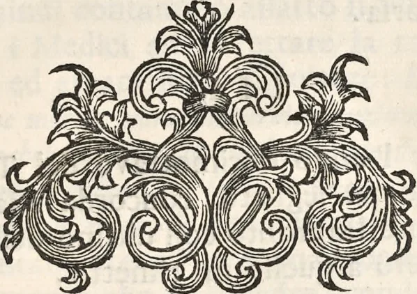 An illustration from I cesari in oro : raccolti nel Farnese museo, e pubblicati colle loro congrue interpretazioni, 1694, leaf 388