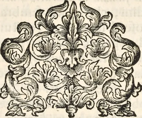 An illustration from I cesari in oro : raccolti nel Farnese museo, e pubblicati colle loro congrue interpretazioni, 1694, leaf 80