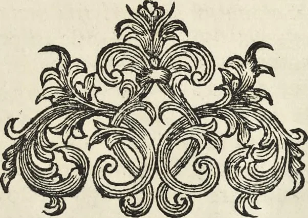 An illustration from I cesari in oro : raccolti nel Farnese museo, e pubblicati colle loro congrue interpretazioni, 1694, leaf 106