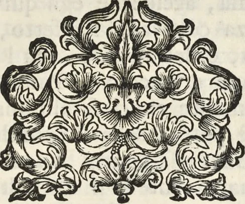 An illustration from I cesari in oro : raccolti nel Farnese museo, e pubblicati colle loro congrue interpretazioni, 1694, leaf 110