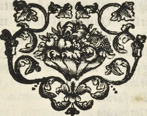 An illustration from I cesari in oro : raccolti nel Farnese museo, e pubblicati colle loro congrue interpretazioni, 1694, leaf 136