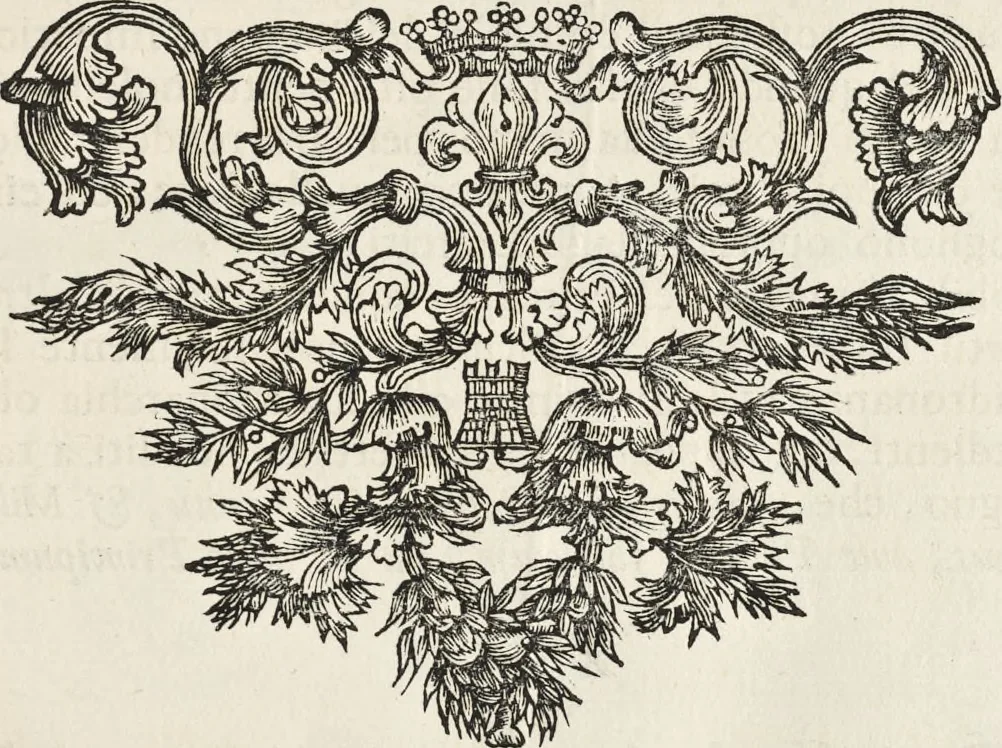 An illustration from I cesari in oro : raccolti nel Farnese museo, e pubblicati colle loro congrue interpretazioni, 1694, leaf 150