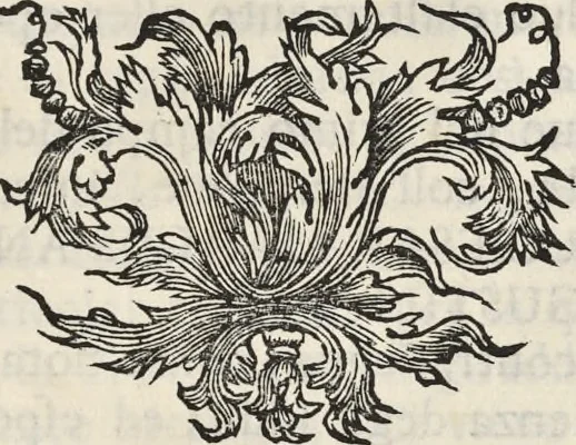 An illustration from I cesari in oro : raccolti nel Farnese museo, e pubblicati colle loro congrue interpretazioni, 1694, leaf 314