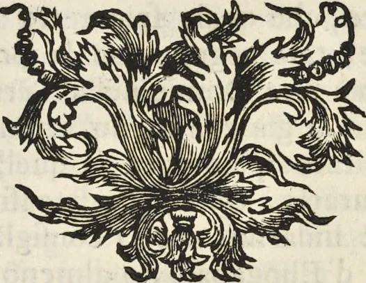 An illustration from I cesari in oro : raccolti nel Farnese museo, e pubblicati colle loro congrue interpretazioni, 1694, leaf 56