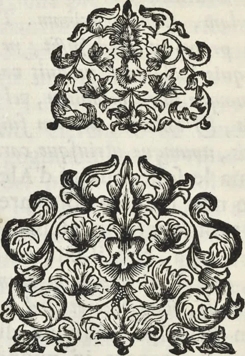 An illustration from I cesari in oro : raccolti nel Farnese museo, e pubblicati colle loro congrue interpretazioni, 1694, leaf 77