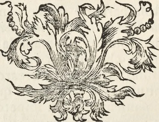 An illustration from I cesari in oro : raccolti nel Farnese museo, e pubblicati colle loro congrue interpretazioni, 1694, leaf 119