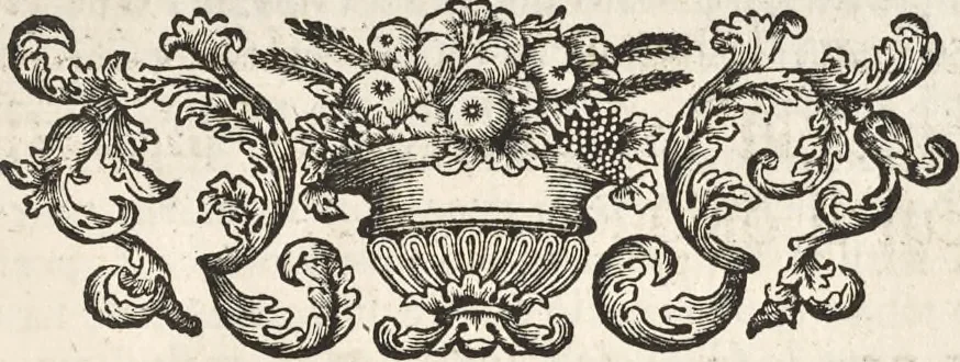 An illustration from I cesari in oro : raccolti nel Farnese museo, e pubblicati colle loro congrue interpretazioni, 1694, leaf 14