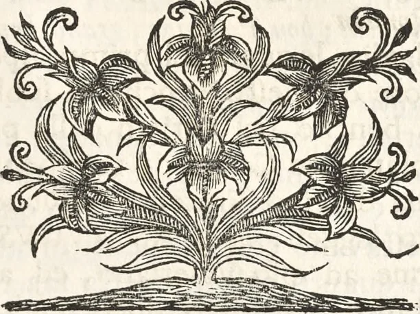 An illustration from I cesari in oro : raccolti nel Farnese museo, e pubblicati colle loro congrue interpretazioni, 1694, leaf 144