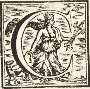 An illustration from I cesari in oro : raccolti nel Farnese museo, e pubblicati colle loro congrue interpretazioni, 1694, leaf 234