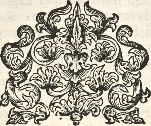 An illustration from I cesari in oro : raccolti nel Farnese museo, e pubblicati colle loro congrue interpretazioni, 1694, leaf 304