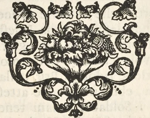 An illustration from I cesari in oro : raccolti nel Farnese museo, e pubblicati colle loro congrue interpretazioni, 1694, leaf 409