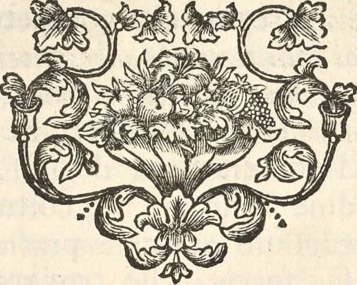 An illustration from I cesari in oro : raccolti nel Farnese museo, e pubblicati colle loro congrue interpretazioni, 1694, leaf 46