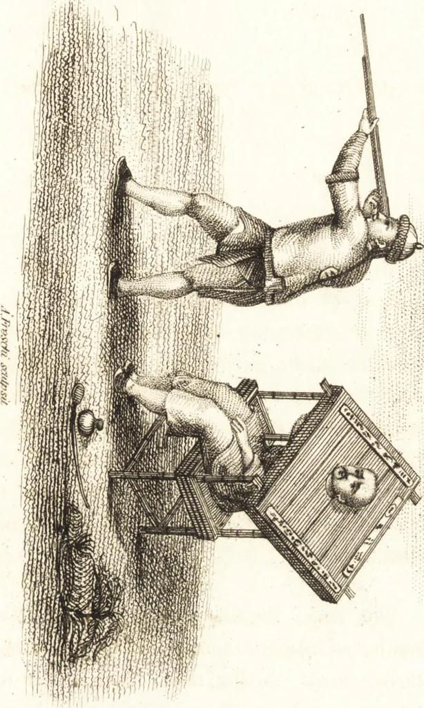 An illustration from China, its costume, arts, manufactures, &c. : edited principally from the originals in the cabinet of the late M. Bertin, with observations explanatory, historical, and literary, 1812, leaf 190