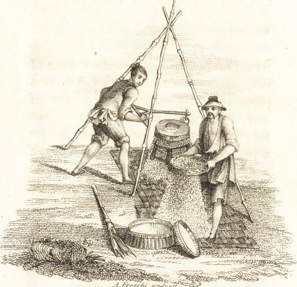 An illustration from China, its costume, arts, manufactures, &c. : edited principally from the originals in the cabinet of the late M. Bertin, with observations explanatory, historical, and literary, 1812, leaf 41