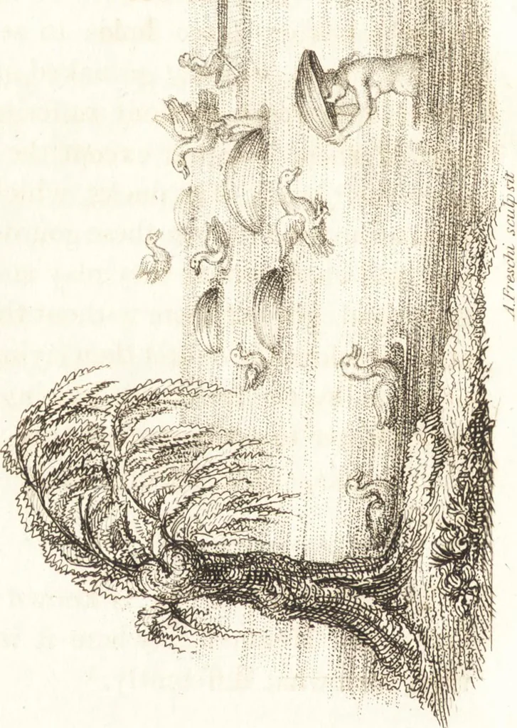 An illustration from China, its costume, arts, manufactures, &c. : edited principally from the originals in the cabinet of the late M. Bertin, with observations explanatory, historical, and literary, 1812, leaf 61