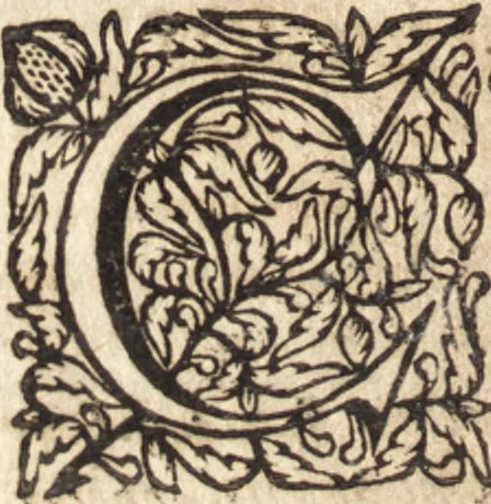 An illustration from Christiani Thomasii, JCti, Consil. Elect. Brandenb. in Univers. Frideric. P.P. & dictae univers. ac facult. ibid. juridicae senioris Institutionum jurisprudentiae divinae libri tres : in quibus fundamenta juris naturalis secundum hypotheses illustris Pufendorffii perspicuè demonstrantur, & ab objectionibus dissentientium, potissimum D. Valentini Alberti, professoris Lipsiensis, liberantur, fundamenta itidem juris divini positivi universalis primùm à jure naturali distinctè secernuntur & explicantur .., 1694, leaf 513