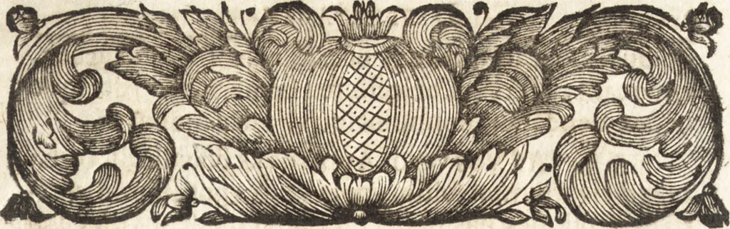 An illustration from Christiani Thomasii, JCti, Consil. Elect. Brandenb. in Univers. Frideric. P.P. & dictae univers. ac facult. ibid. juridicae senioris Institutionum jurisprudentiae divinae libri tres : in quibus fundamenta juris naturalis secundum hypotheses illustris Pufendorffii perspicuè demonstrantur, & ab objectionibus dissentientium, potissimum D. Valentini Alberti, professoris Lipsiensis, liberantur, fundamenta itidem juris divini positivi universalis primùm à jure naturali distinctè secernuntur & explicantur .., 1694, leaf 6