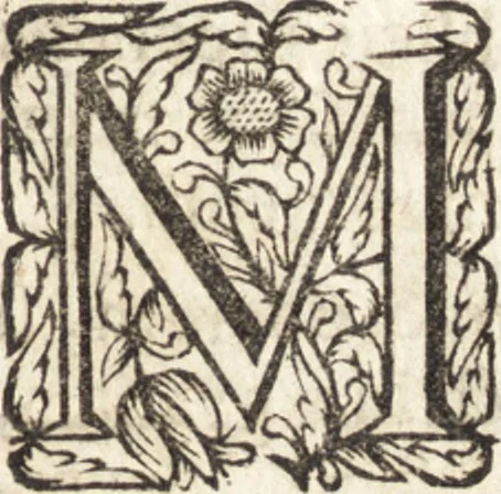 An illustration from Christiani Thomasii, JCti, Consil. Elect. Brandenb. in Univers. Frideric. P.P. & dictae univers. ac facult. ibid. juridicae senioris Institutionum jurisprudentiae divinae libri tres : in quibus fundamenta juris naturalis secundum hypotheses illustris Pufendorffii perspicuè demonstrantur, & ab objectionibus dissentientium, potissimum D. Valentini Alberti, professoris Lipsiensis, liberantur, fundamenta itidem juris divini positivi universalis primùm à jure naturali distinctè secernuntur & explicantur .., 1694, leaf 6