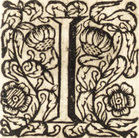 An illustration from Christiani Thomasii, JCti, Consil. Elect. Brandenb. in Univers. Frideric. P.P. & dictae univers. ac facult. ibid. juridicae senioris Institutionum jurisprudentiae divinae libri tres : in quibus fundamenta juris naturalis secundum hypotheses illustris Pufendorffii perspicuè demonstrantur, & ab objectionibus dissentientium, potissimum D. Valentini Alberti, professoris Lipsiensis, liberantur, fundamenta itidem juris divini positivi universalis primùm à jure naturali distinctè secernuntur & explicantur .., 1694, leaf 752