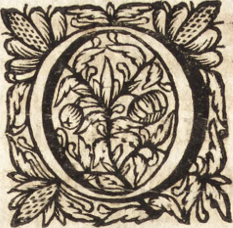 An illustration from Christiani Thomasii, JCti, Consil. Elect. Brandenb. in Univers. Frideric. P.P. & dictae univers. ac facult. ibid. juridicae senioris Institutionum jurisprudentiae divinae libri tres : in quibus fundamenta juris naturalis secundum hypotheses illustris Pufendorffii perspicuè demonstrantur, & ab objectionibus dissentientium, potissimum D. Valentini Alberti, professoris Lipsiensis, liberantur, fundamenta itidem juris divini positivi universalis primùm à jure naturali distinctè secernuntur & explicantur .., 1694, leaf 759