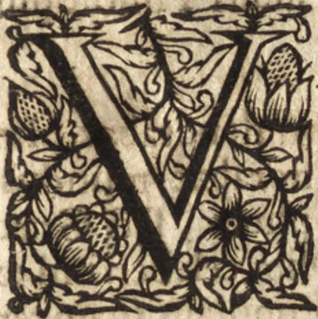 An illustration from Christiani Thomasii, JCti, Consil. Elect. Brandenb. in Univers. Frideric. P.P. & dictae univers. ac facult. ibid. juridicae senioris Institutionum jurisprudentiae divinae libri tres : in quibus fundamenta juris naturalis secundum hypotheses illustris Pufendorffii perspicuè demonstrantur, & ab objectionibus dissentientium, potissimum D. Valentini Alberti, professoris Lipsiensis, liberantur, fundamenta itidem juris divini positivi universalis primùm à jure naturali distinctè secernuntur & explicantur .., 1694, leaf 784