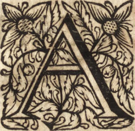 An illustration from Christiani Thomasii, JCti, Consil. Elect. Brandenb. in Univers. Frideric. P.P. & dictae univers. ac facult. ibid. juridicae senioris Institutionum jurisprudentiae divinae libri tres : in quibus fundamenta juris naturalis secundum hypotheses illustris Pufendorffii perspicuè demonstrantur, & ab objectionibus dissentientium, potissimum D. Valentini Alberti, professoris Lipsiensis, liberantur, fundamenta itidem juris divini positivi universalis primùm à jure naturali distinctè secernuntur & explicantur .., 1694, leaf 791