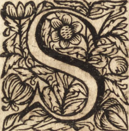 An illustration from Christiani Thomasii, JCti, Consil. Elect. Brandenb. in Univers. Frideric. P.P. & dictae univers. ac facult. ibid. juridicae senioris Institutionum jurisprudentiae divinae libri tres : in quibus fundamenta juris naturalis secundum hypotheses illustris Pufendorffii perspicuè demonstrantur, & ab objectionibus dissentientium, potissimum D. Valentini Alberti, professoris Lipsiensis, liberantur, fundamenta itidem juris divini positivi universalis primùm à jure naturali distinctè secernuntur & explicantur .., 1694, leaf 799