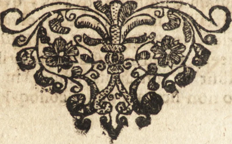 An illustration from Christiani Thomasii, JCti, Consil. Elect. Brandenb. in Univers. Frideric. P.P. & dictae univers. ac facult. ibid. juridicae senioris Institutionum jurisprudentiae divinae libri tres : in quibus fundamenta juris naturalis secundum hypotheses illustris Pufendorffii perspicuè demonstrantur, & ab objectionibus dissentientium, potissimum D. Valentini Alberti, professoris Lipsiensis, liberantur, fundamenta itidem juris divini positivi universalis primùm à jure naturali distinctè secernuntur & explicantur .., 1694, leaf 805