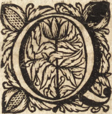 An illustration from Christiani Thomasii, JCti, Consil. Elect. Brandenb. in Univers. Frideric. P.P. & dictae univers. ac facult. ibid. juridicae senioris Institutionum jurisprudentiae divinae libri tres : in quibus fundamenta juris naturalis secundum hypotheses illustris Pufendorffii perspicuè demonstrantur, & ab objectionibus dissentientium, potissimum D. Valentini Alberti, professoris Lipsiensis, liberantur, fundamenta itidem juris divini positivi universalis primùm à jure naturali distinctè secernuntur & explicantur .., 1694, leaf 807