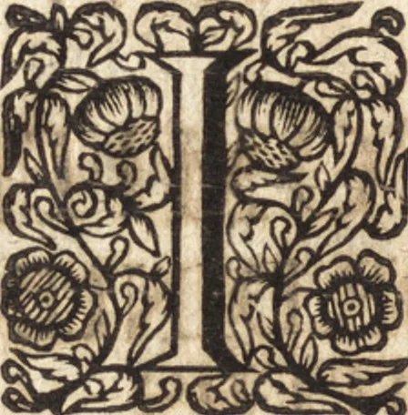 An illustration from Christiani Thomasii, JCti, Consil. Elect. Brandenb. in Univers. Frideric. P.P. & dictae univers. ac facult. ibid. juridicae senioris Institutionum jurisprudentiae divinae libri tres : in quibus fundamenta juris naturalis secundum hypotheses illustris Pufendorffii perspicuè demonstrantur, & ab objectionibus dissentientium, potissimum D. Valentini Alberti, professoris Lipsiensis, liberantur, fundamenta itidem juris divini positivi universalis primùm à jure naturali distinctè secernuntur & explicantur .., 1694, leaf 815