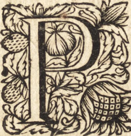 An illustration from Christiani Thomasii, JCti, Consil. Elect. Brandenb. in Univers. Frideric. P.P. & dictae univers. ac facult. ibid. juridicae senioris Institutionum jurisprudentiae divinae libri tres : in quibus fundamenta juris naturalis secundum hypotheses illustris Pufendorffii perspicuè demonstrantur, & ab objectionibus dissentientium, potissimum D. Valentini Alberti, professoris Lipsiensis, liberantur, fundamenta itidem juris divini positivi universalis primùm à jure naturali distinctè secernuntur & explicantur .., 1694, leaf 847