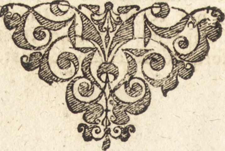 An illustration from Christiani Thomasii, JCti, Consil. Elect. Brandenb. in Univers. Frideric. P.P. & dictae univers. ac facult. ibid. juridicae senioris Institutionum jurisprudentiae divinae libri tres : in quibus fundamenta juris naturalis secundum hypotheses illustris Pufendorffii perspicuè demonstrantur, & ab objectionibus dissentientium, potissimum D. Valentini Alberti, professoris Lipsiensis, liberantur, fundamenta itidem juris divini positivi universalis primùm à jure naturali distinctè secernuntur & explicantur .., 1694, leaf 853