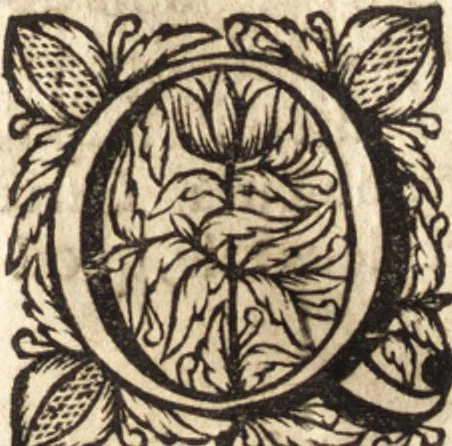 An illustration from Christiani Thomasii, JCti, Consil. Elect. Brandenb. in Univers. Frideric. P.P. & dictae univers. ac facult. ibid. juridicae senioris Institutionum jurisprudentiae divinae libri tres : in quibus fundamenta juris naturalis secundum hypotheses illustris Pufendorffii perspicuè demonstrantur, & ab objectionibus dissentientium, potissimum D. Valentini Alberti, professoris Lipsiensis, liberantur, fundamenta itidem juris divini positivi universalis primùm à jure naturali distinctè secernuntur & explicantur .., 1694, leaf 856