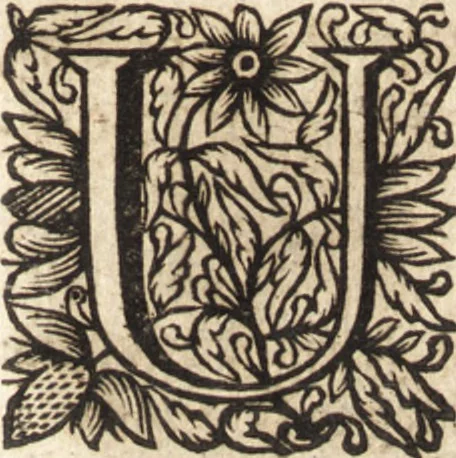 An illustration from Christiani Thomasii, JCti, Consil. Elect. Brandenb. in Univers. Frideric. P.P. & dictae univers. ac facult. ibid. juridicae senioris Institutionum jurisprudentiae divinae libri tres : in quibus fundamenta juris naturalis secundum hypotheses illustris Pufendorffii perspicuè demonstrantur, & ab objectionibus dissentientium, potissimum D. Valentini Alberti, professoris Lipsiensis, liberantur, fundamenta itidem juris divini positivi universalis primùm à jure naturali distinctè secernuntur & explicantur .., 1694, leaf 878