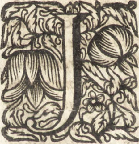 An illustration from Christiani Thomasii, JCti, Consil. Elect. Brandenb. in Univers. Frideric. P.P. & dictae univers. ac facult. ibid. juridicae senioris Institutionum jurisprudentiae divinae libri tres : in quibus fundamenta juris naturalis secundum hypotheses illustris Pufendorffii perspicuè demonstrantur, & ab objectionibus dissentientium, potissimum D. Valentini Alberti, professoris Lipsiensis, liberantur, fundamenta itidem juris divini positivi universalis primùm à jure naturali distinctè secernuntur & explicantur .., 1694, leaf 91
