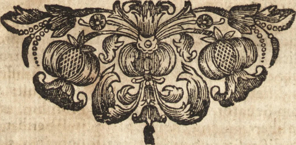 An illustration from Christiani Thomasii, JCti, Consil. Elect. Brandenb. in Univers. Frideric. P.P. & dictae univers. ac facult. ibid. juridicae senioris Institutionum jurisprudentiae divinae libri tres : in quibus fundamenta juris naturalis secundum hypotheses illustris Pufendorffii perspicuè demonstrantur, & ab objectionibus dissentientium, potissimum D. Valentini Alberti, professoris Lipsiensis, liberantur, fundamenta itidem juris divini positivi universalis primùm à jure naturali distinctè secernuntur & explicantur .., 1694, leaf 935