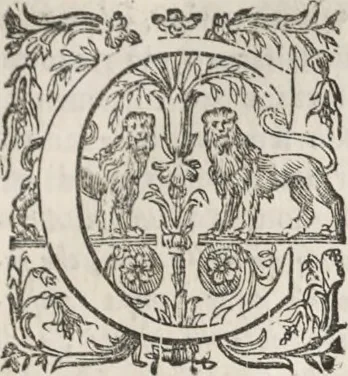 An illustration from Il claustro di S. Michele in Bosco di Bologna : dipinto dal famoso Lodovico Carracci, e da altri eccellenti maestri uscita dalla sua scola, 1694, leaf 14