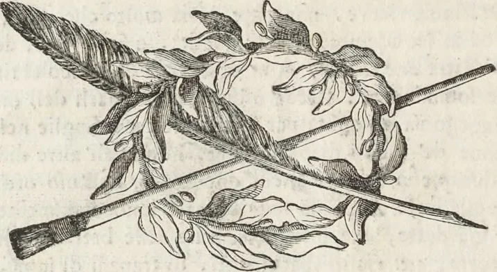 An illustration from Il claustro di S. Michele in Bosco di Bologna : dipinto dal famoso Lodovico Carracci, e da altri eccellenti maestri uscita dalla sua scola, 1694, leaf 47