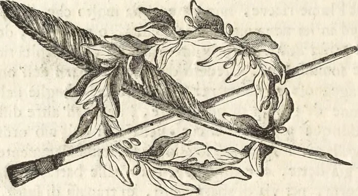 An illustration from Il claustro di S. Michele in Bosco di Bologna : dipinto dal famoso Lodovico Carracci, e da altri eccellenti maestri uscita dalla sua scola, 1694, leaf 49
