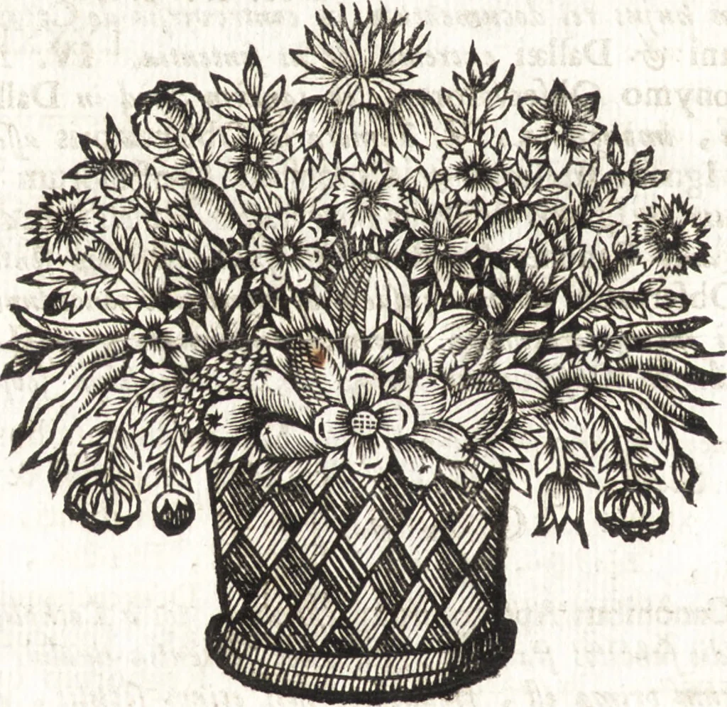 An illustration from Codex canonum Ecclesiae primitivae, vindicatus ac illustratus, 1697, leaf 403
