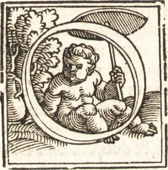 An illustration from Concilia omnia, tam generalia quam particularia : ab apostolorum temporibus in hunc vsque diem a sanctissimis patribus celebrata, & quorum acta literis mandata, ex vetustissimis diuersa[rum] regionu[m] bibliothecis haberi potuere, his duobus tomis continentur : tomvs primvs ea recenset concilia, quae a beato Petro apostolo vsq[ue] ad Iohanne[m] huius nominis papam secundu[m] seruata inuenimus : quo[rum] ordinem & nomina si quis accuratius desideret, versa pagina indicabit, 1538, leaf 113