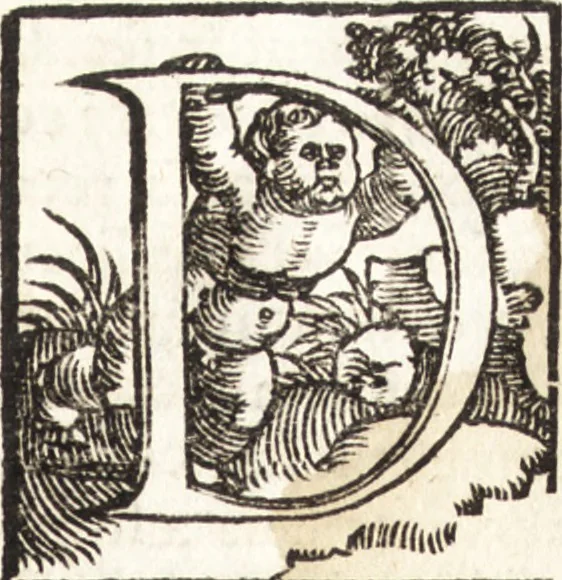 An illustration from Concilia omnia, tam generalia quam particularia : ab apostolorum temporibus in hunc vsque diem a sanctissimis patribus celebrata, & quorum acta literis mandata, ex vetustissimis diuersa[rum] regionu[m] bibliothecis haberi potuere, his duobus tomis continentur : tomvs primvs ea recenset concilia, quae a beato Petro apostolo vsq[ue] ad Iohanne[m] huius nominis papam secundu[m] seruata inuenimus : quo[rum] ordinem & nomina si quis accuratius desideret, versa pagina indicabit, 1538, leaf 230