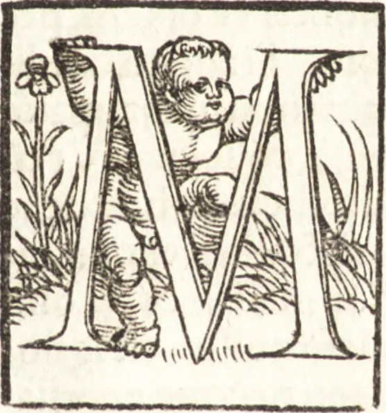 An illustration from Concilia omnia, tam generalia quam particularia : ab apostolorum temporibus in hunc vsque diem a sanctissimis patribus celebrata, & quorum acta literis mandata, ex vetustissimis diuersa[rum] regionu[m] bibliothecis haberi potuere, his duobus tomis continentur : tomvs primvs ea recenset concilia, quae a beato Petro apostolo vsq[ue] ad Iohanne[m] huius nominis papam secundu[m] seruata inuenimus : quo[rum] ordinem & nomina si quis accuratius desideret, versa pagina indicabit, 1538, leaf 240