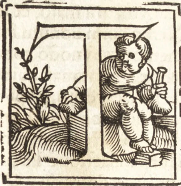 An illustration from Concilia omnia, tam generalia quam particularia : ab apostolorum temporibus in hunc vsque diem a sanctissimis patribus celebrata, & quorum acta literis mandata, ex vetustissimis diuersa[rum] regionu[m] bibliothecis haberi potuere, his duobus tomis continentur : tomvs primvs ea recenset concilia, quae a beato Petro apostolo vsq[ue] ad Iohanne[m] huius nominis papam secundu[m] seruata inuenimus : quo[rum] ordinem & nomina si quis accuratius desideret, versa pagina indicabit, 1538, leaf 340