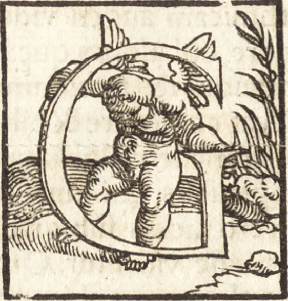 An illustration from Concilia omnia, tam generalia quam particularia : ab apostolorum temporibus in hunc vsque diem a sanctissimis patribus celebrata, & quorum acta literis mandata, ex vetustissimis diuersa[rum] regionu[m] bibliothecis haberi potuere, his duobus tomis continentur : tomvs primvs ea recenset concilia, quae a beato Petro apostolo vsq[ue] ad Iohanne[m] huius nominis papam secundu[m] seruata inuenimus : quo[rum] ordinem & nomina si quis accuratius desideret, versa pagina indicabit, 1538, leaf 479