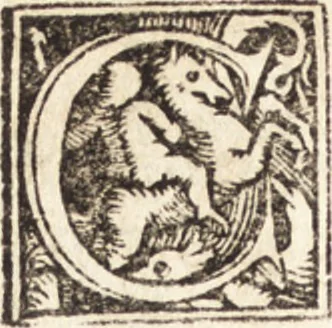 An illustration from Concilia omnia, tam generalia quam particularia : ab apostolorum temporibus in hunc vsque diem a sanctissimis patribus celebrata, & quorum acta literis mandata, ex vetustissimis diuersa[rum] regionu[m] bibliothecis haberi potuere, his duobus tomis continentur : tomvs primvs ea recenset concilia, quae a beato Petro apostolo vsq[ue] ad Iohanne[m] huius nominis papam secundu[m] seruata inuenimus : quo[rum] ordinem & nomina si quis accuratius desideret, versa pagina indicabit, 1538, leaf 537