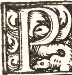 An illustration from Concilia omnia, tam generalia quam particularia : ab apostolorum temporibus in hunc vsque diem a sanctissimis patribus celebrata, & quorum acta literis mandata, ex vetustissimis diuersa[rum] regionu[m] bibliothecis haberi potuere, his duobus tomis continentur : tomvs primvs ea recenset concilia, quae a beato Petro apostolo vsq[ue] ad Iohanne[m] huius nominis papam secundu[m] seruata inuenimus : quo[rum] ordinem & nomina si quis accuratius desideret, versa pagina indicabit, 1538, leaf 602